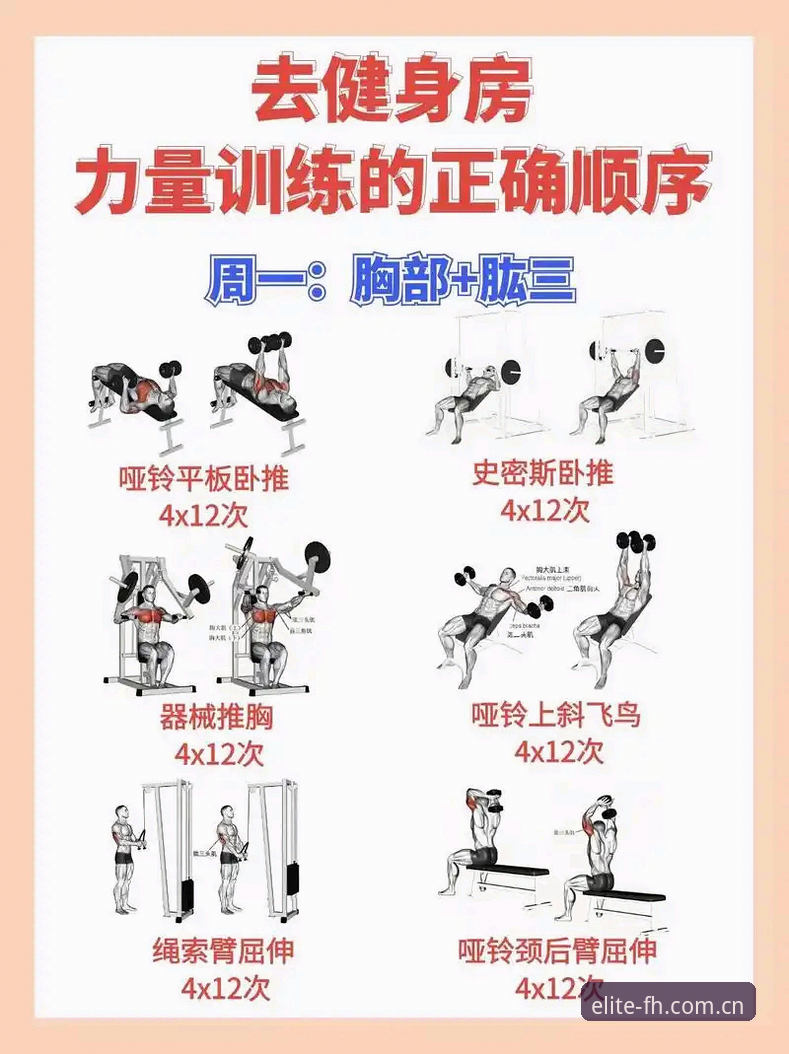 FH体育性能优化 FH体育性能优化到底怎么做?新手也能轻松掌握的5个关键技巧